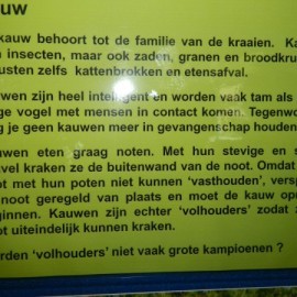 DSCN3922 - Scouts en Gidsen Zaventem 